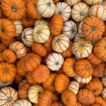 Is Pumpkin Good for Diabetics