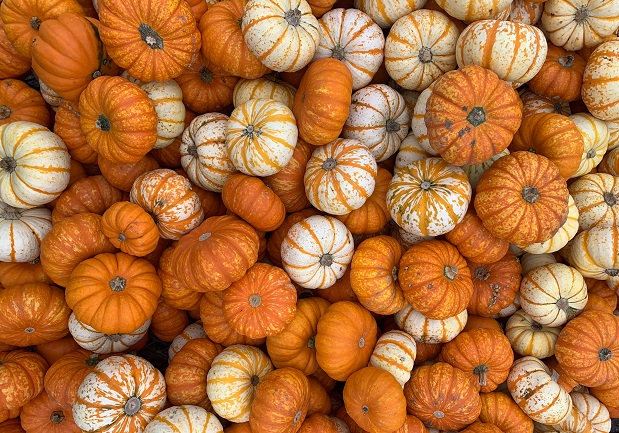Is Pumpkin Good For Diabetics?